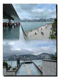 🌟 浪漫海濱之旅：星光花園的維港夢幻 🌊
