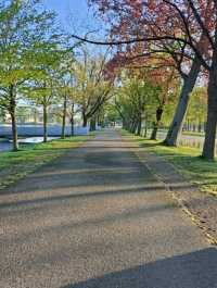 Beautiful Garden Park near Schloss Schwerin 
