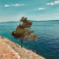Beautiful Nugal Beach 