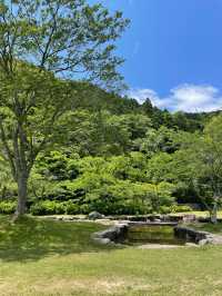 兵庫　丹波篠山のキャンプスポット🏕️