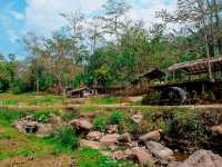 คาเฟ่น่ารักๆ บ่อเกลือ…หลงเขาคาเฟ่