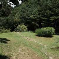 德裕山國立公園：大自然魅力