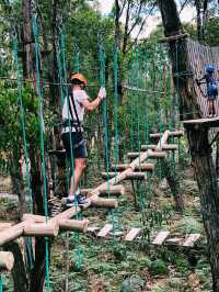 Treetops Adventure Yeodene Park