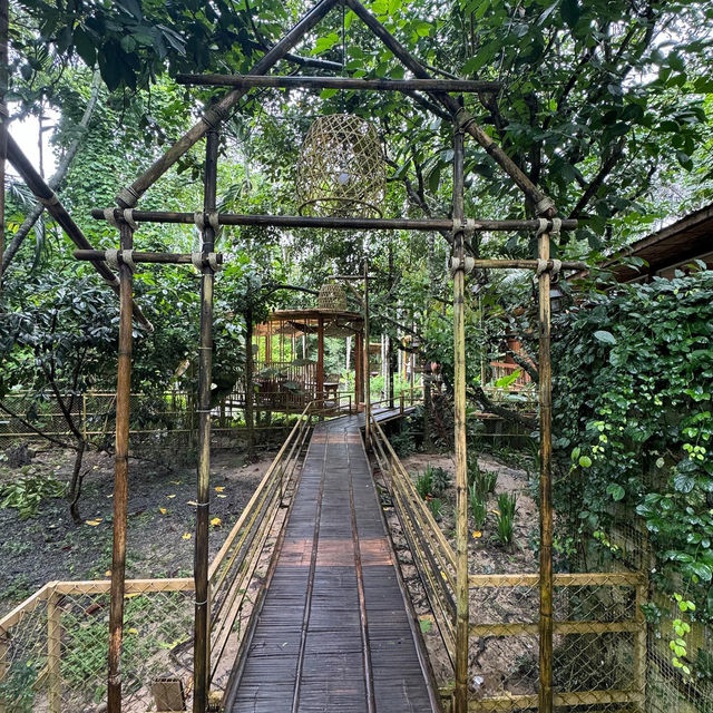 🏡 บ้านไร่ ไออรุณ  baan rai i arun 