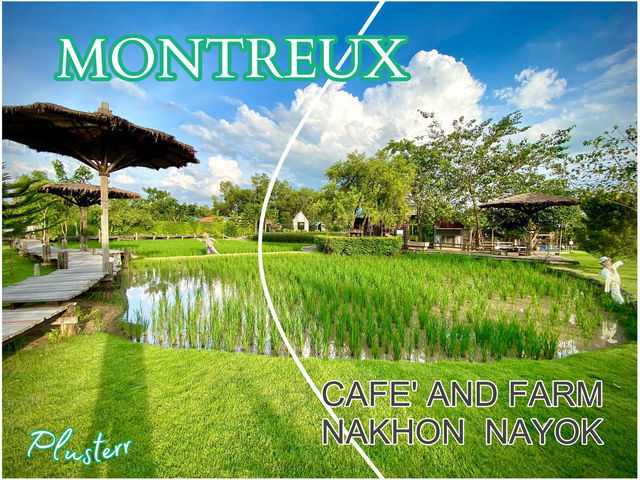 แต่ง FARM ให้เป็น CAFE‘ 🪴ฟีลเป็นชาวไร่ชาวสวนกัน!