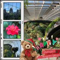【新加坡景點】濱海灣花園雲霧森林玻璃屋：夢幻迷離的大自然美好，讓你流連忘返