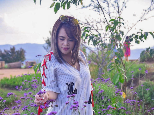 สูดโอโซน ชมดอกไม้ กินหมูกะทะวิวดอย ที่ม่อนแจ่ม
