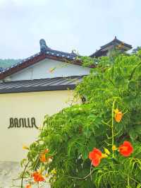 경주 드라이브 코스 바실라 카페