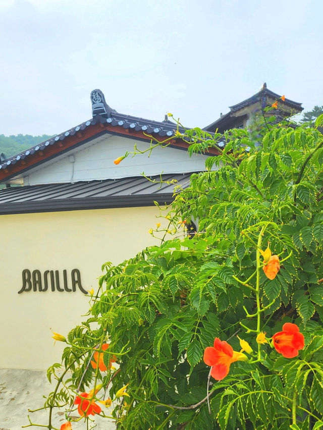 경주 드라이브 코스 바실라 카페 경주 드라이브 코스 바실라 카페