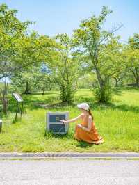 【淡路島】写真好き必見！かわいすぎる体験型テーマパーク🎡💛 