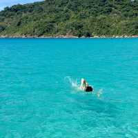 馬來西亞隱藏絕美海島 香港出發完美三天兩夜海龜之旅