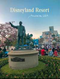A Magical Day at Disneyland Resort 🌟