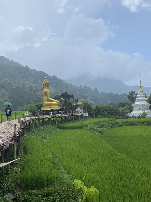 ฤดูฝนที่วัดนาคูหา | จ.แพร่ ⛰️🌳🌧️🌿