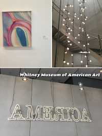 The Best Art Museums in New York City 🇺🇸