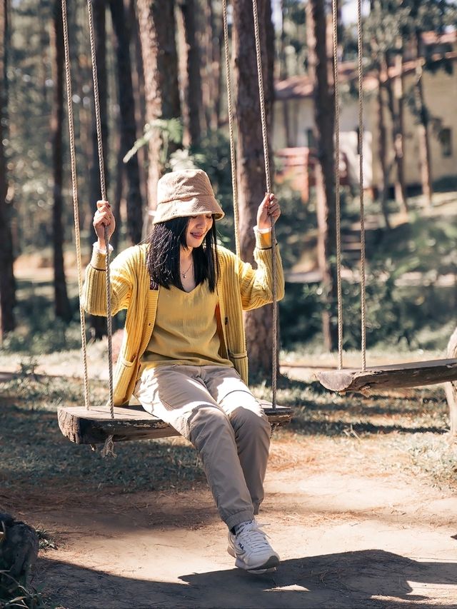 สวนป่าดอยบ่อหลวง อ.ฮอด Chiangmai