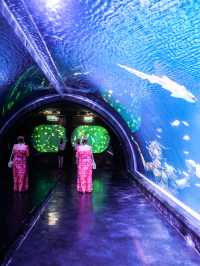 พาไปชมโลกใต้ท้องทะเลที่ Aquaria Phuket 🐧🐠