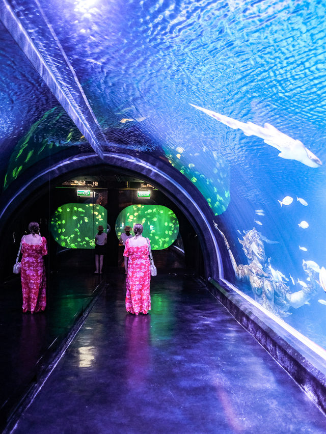 พาไปชมโลกใต้ท้องทะเลที่ Aquaria Phuket 🐧🐠