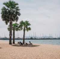 ชายหาดสวนตัวและต้นตาลเรียงราย Ravindra Pattaya