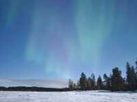 【瑞典極光之旅】Arctic Dogsled Adventure AB：極光：狗拉雪橇、雪地摩托車，秋季哈士奇訓練課程