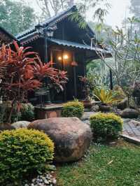 A WEEKEND BY THE RIVER, FOREST SANCTUARY