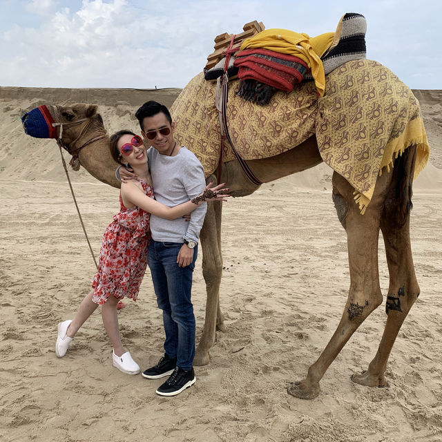 Exciting Dune bashing & Camel experience in Dubai Desert