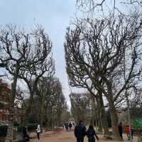 Jardin des Plantes: A Botanical Haven in the City