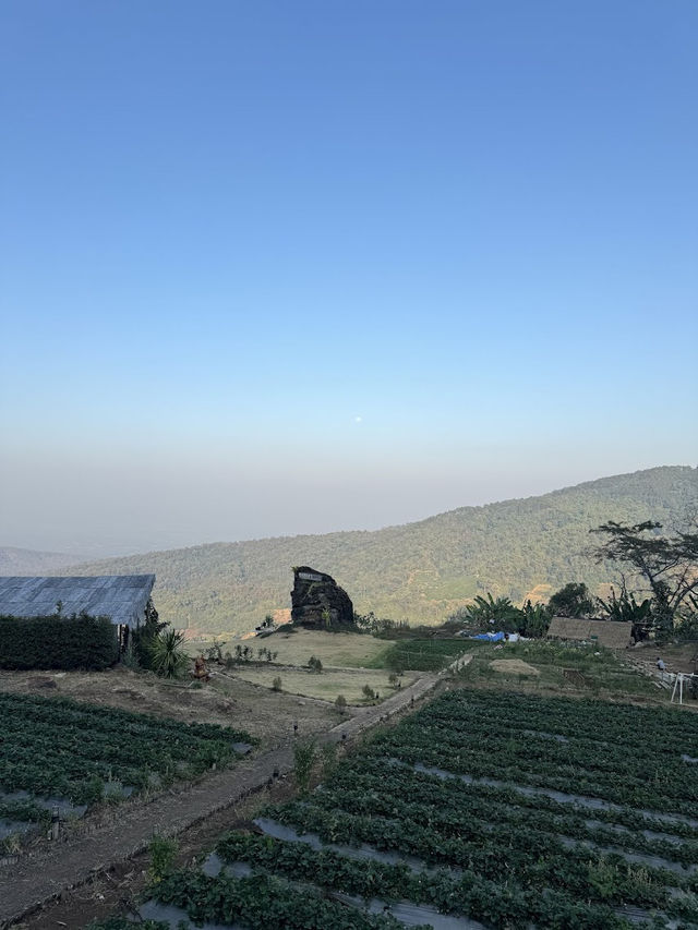 📍ภูเปตรา โฮมสเตย์ อ.แม่ริม จ.เชียงใหม่🌳🍃☁️
