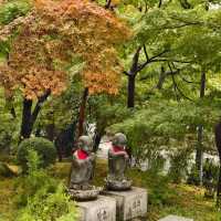 【大阪景點】西之丸庭園：雨中迷人景色～享受日本庭院風情