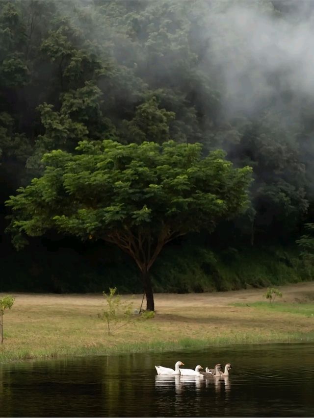 มากับเพื่อน