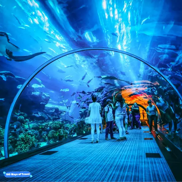🇲🇾 Uncover Ocean Treasures at Aquaria KLCC