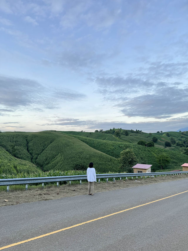 ภูเขาเทเลทับบี้ | จ.แพร่ ⛰️🌧️🌿🌳