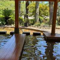 Burning Impressions: Beppu Hells' Sizzling Spectacle