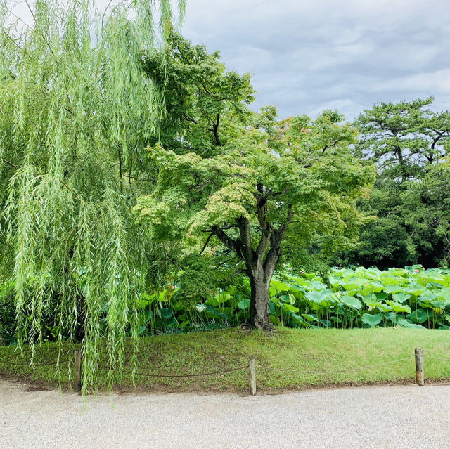 栗林公園！！