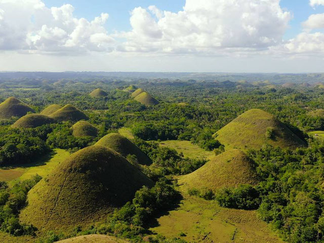 The Chocolate Hills: remarkable geological formation and iconic hills in the island of Bohol. 