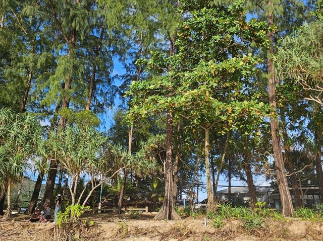 หาดในทอน