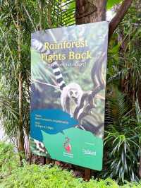 Watching the Wildlife Performances at Singapore Zoo