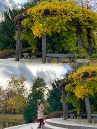 A Perfect Fall Afternoon at Ujazdowski Park