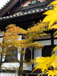 Fall Colors at Seiryo-ji Temple, Kyoto 🍁