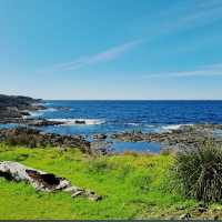 Little Blowhole