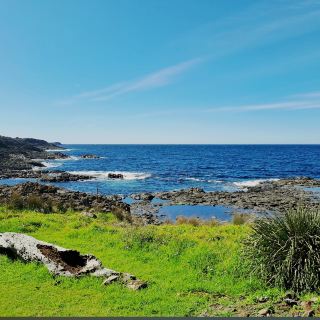 Little Blowhole
