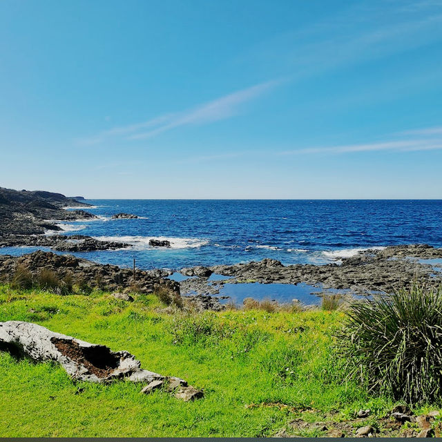 Little Blowhole