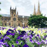 Hyde Park
