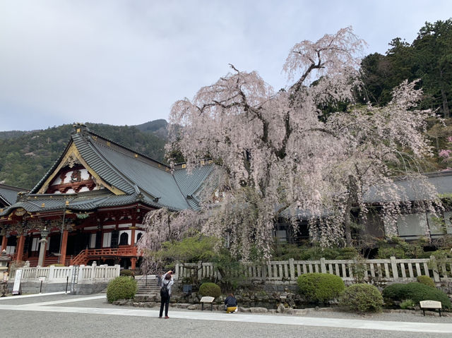 身延山　久遠寺