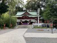 熱海観光　来宮神社