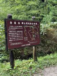 Magome Pass: Japan’s Most Famous Hiking Route 🥾