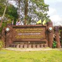 น้ำตก