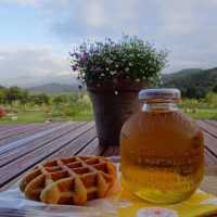 Cafe สุดอบอุ่นโดยคุณลุง คุณป้าใน Uozu,Toyama 