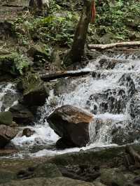 น้ำตกแม่กำปอง | จ.เชียงใหม่ 🪨💦🌿🌳
