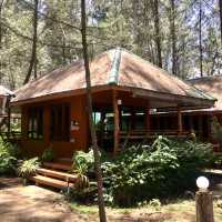 A Sanctuary of Serenity Resort
