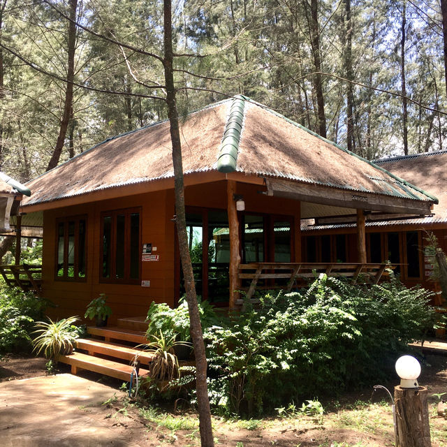 A Sanctuary of Serenity Resort
